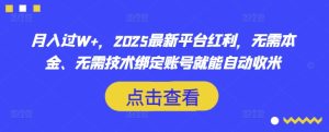 月入过W+，2025最新平台红利，无需本金、无需技术绑定账号就能自动收米-七量思维