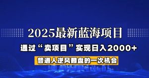 2025年蓝海项目,如何通过“网创项目”日入2000+-七量思维
