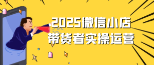 2025微信小店带货者实操运营-七量思维