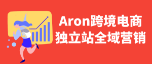 Aron跨境电商独立站全域营销-七量思维