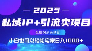 私域IP+引流卖项目，小白也可以做到轻松宅家日入1000+-七量思维
