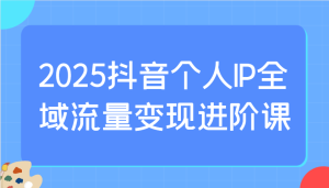 2025抖音个人IP全域流量变现进阶课：选爆品、抖音付费投流、千川投流实操及优化等-七量思维