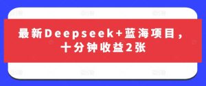 最新Deepseek+蓝海项目，十分钟收益2张-七量思维