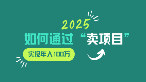 2025年如何通过“卖项目”实现年入100w-七量思维