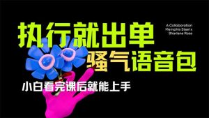 爆火全网的开车导航骚气语音包,只要执行就出单，小白看完课程就能实操…-七量思维