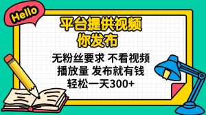 平台提供视频 你发布 无粉丝要求 不看视频播放量 发布就有钱 轻松一天300+-七量思维