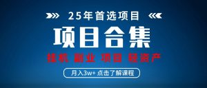 实操项目合集 挂机类型 直播类型 轻资产创业类型 课程分享各项目介绍和原理-七量思维