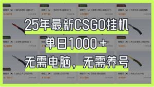 25年最新CSGO挂机系统,单日1000+,无需电脑,无需养号,0基础可上手-七量思维