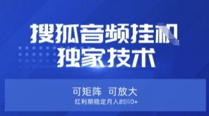 【搜狐音频挂G】独家技术,可矩阵可放大,红利期稳定月入8k【揭秘】-七量思维