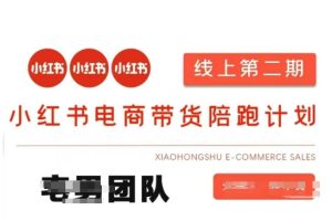 小红书电商带货课2期，月利润20个的小红书电商的有货源，无货源，虚拟产品，付费投流等整套玩法-七量思维