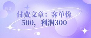 付费文章:客单价500,利润300-七量思维