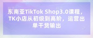 东南亚TikTok Shop3.0课程，TK小店​从初级到高阶，运营出单干货输出-七量思维