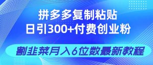 拼多多复制粘贴日引300+付费创业粉，割韭菜月入6位数最新教程！-七量思维