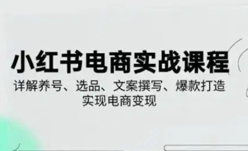 小红书从0-1实操课(2023-2025)，详解养号、选品、文案撰写、爆款打造实现电商变现-七量思维