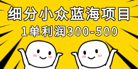 细分小众蓝海项目，一单利润3张，每月收入稳定过1w+-七量思维