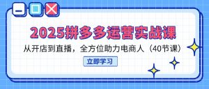 2025拼多多运营实战课,从开店到直播,全方位助力电商人(40节课-七量思维