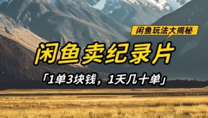 闲鱼卖纪录片1单3块钱，1天几十单，项目稳定有潜力-七量思维