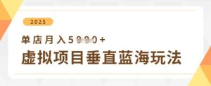 虚拟项目垂直玩法，实现单店月入5k+-七量思维