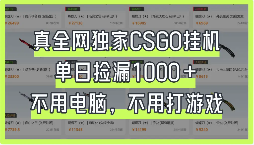 真全网独家CSGO挂机，单日捡漏1000+-创业猫