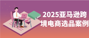 2025亚马逊跨境电商选品案例-七量思维