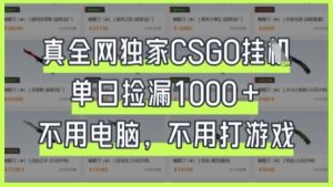 真全网独家CSGO挂G,单日捡漏1k+【揭秘】-七量思维