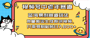 2025视频号中老年短视频蓝海暴利风口！复制粘贴搬运视频单日赚800+，无…-七量思维