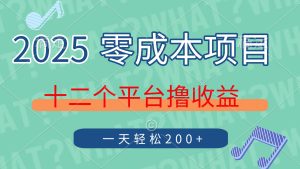 2025年零成本项目，十二个平台撸收益，单号一天轻松200+-七量思维