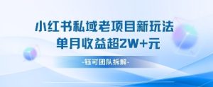 小红书私域项目新玩法，单月变现过W+-七量思维