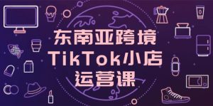 东南亚跨境TikTok小店运营课，掌握店铺设置与流量转化核心技巧-七量思维