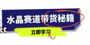水晶赛道带货秘籍，国学结合、短视频起号、拍摄技巧、直播话术等内容-七量思维