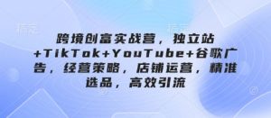 跨境创富实战营,独立站+TikTok+YouTube+谷歌广告,经营策略,店铺运营,精准选品,高效引流-七量思维