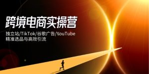 跨境电商实操营:独立站/TikTok/谷歌广告/YouTube,精准选品与高效引流-七量思维
