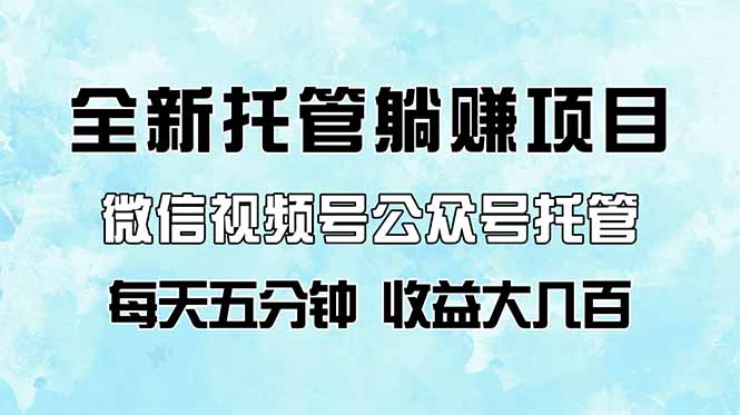 全新托管躺赚项目，微信视频号公众号托管代运营，每天五分钟，收益大几百-七量思维
