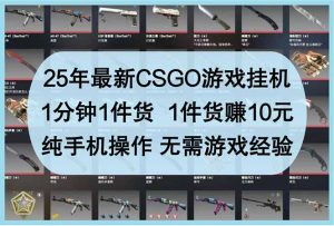 25年最新CSGO游戏挂机，1分钟1件货，1件货赚10元 纯手机操作 无需游戏经验-七量思维