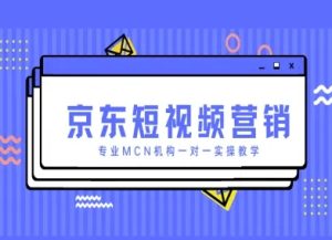 京东短视频营销项目，专业MCN机构一对一实操教学-七量思维