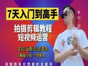 7天入门到高手,短视频剪辑运营高手课,定位 运营 引|流 变现,0基础小白一学就会-七量思维