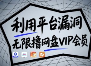 利用平台漏洞,无限撸网盘VIP会员,用户亲测有效!【漏洞原理+操作演示】-七量思维