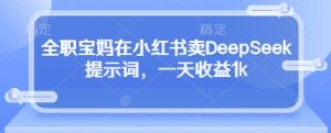 全职宝妈在小红书卖DeepSeek提示词，一天收益1k-七量思维