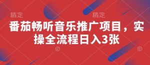 番茄畅听音乐推广项目,实操全流程日入3张-七量思维