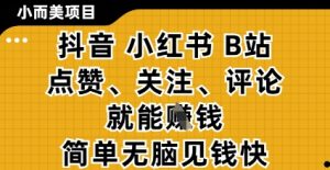 小而美的项目,抖音小红书B站视频点赞、关注、评论就能挣钱,简单无脑立见收益,妥妥的零撸项目【揭秘】-七量思维