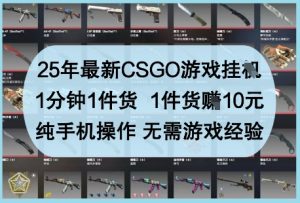 25年最新CSGO游戏挂G，1分钟1件货，1件货挣10元，纯手机操作，无需游戏经验【揭秘】-七量思维