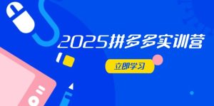 2025拼多多实训营:深度剖析运营关键,助力电商人快速提升-七量思维