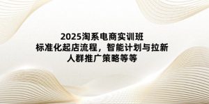 2025淘系电商实训班：标准化起店流程，智能计划与拉新，人群推广策略等等-七量思维