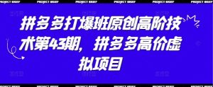 拼多多打爆班原创高阶技术第43期，拼多多高价虚拟项目-七量思维