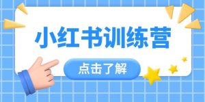 小红书训练营，助小白入门，掌握技巧变达人，课程实操又全面(12节课)-七量思维