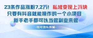 抖音私域项目23条作品涨粉7.2W，私域变现1W-七量思维