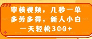 视频审核员,几秒一单,不限时间,不限地点,多做多得,新人小白一天轻松几张+【揭秘】-七量思维