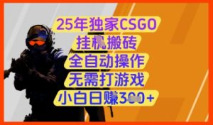 25年独家CSGO挂G搬砖,全自动操作,无需打游戏,小白日入3张+【揭秘】-七量思维