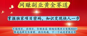 网创副业黄全赛道,掌握独家项目密码,知识变现快人一步,告别韭菜轻松实现单日变现1k+【揭秘】-七量思维