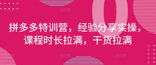 拼多多特训营，经验分享实操，课程时长拉满，干货拉满(更新25年4月)-七量思维